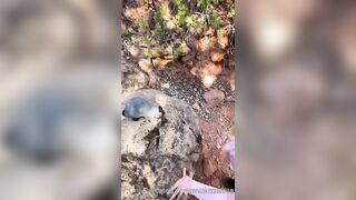 Mia Malkova having sex outdoors in the woods and getting a load on her tits