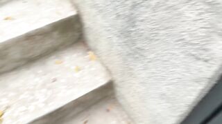 Horny Mexican AndyMiss fucking after a massage